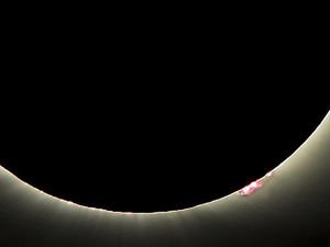 Supporting image for story: These popular searches show Donald Trump wasn’t the only one who ignored advice about the eclipse