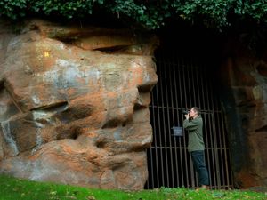 Supporting image for story: Can you see it? Mysterious face spotted at the entrance to a tunnel dug under Bridgnorth Castle