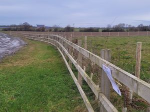 Supporting image for story: £3.5 million plan lodged to allow Shropshire chicken farm to house 120,000 more birds