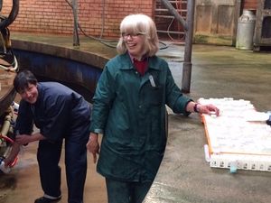 Supporting image for story: Milk record group sees half year turnover rise