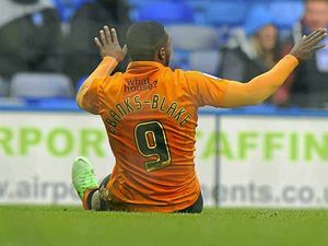 Supporting image for story: Broken leg for Wolves' Sylvan Ebanks-Blake