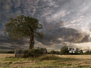 Supporting image for story: Historic sites in Shropshire selected for English Heritage coronation meadows