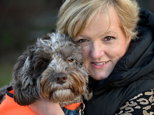 Supporting image for story: How dogs are helping Wolverhampton schoolchildren achieve more in the classroom