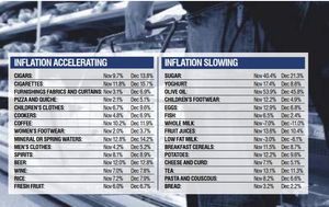 Above is a list of examples of how the CPI inflation rate has either accelerated or slowed, ranked by the size of the month-on-month change, starting with the largest. Two figures are listed for each item – the average rise in price in the 12 months to November, followed by the average rise in price in the 12 months to December.