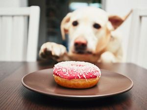 Supporting image for story: 12 things that sound tempting but ultimately aren’t worth it