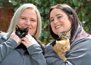 Sophie with fosterer Amanda Tibbitts