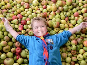 Supporting image for story: Core, what a lot of apples: Ironbridge event sees 800 litres of juice produced