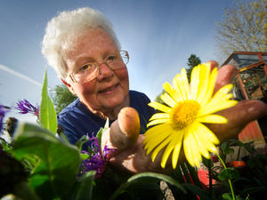 Supporting image for story: Green-fingered village gardeners open their gates for charity