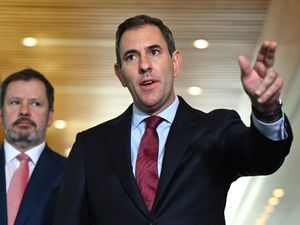 Supporting image for story: Australian government rejects Musk’s claim it plans to control internet access