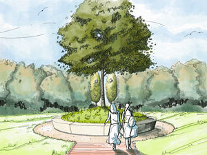 Supporting image for story: Public invited to unveiling of new Covid-19 memorial tree