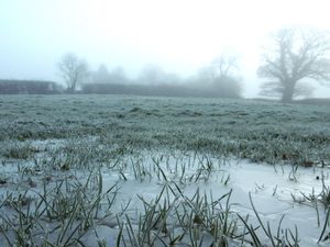 Supporting image for story: After the rain comes the fog and frost as the weather shows improving picture