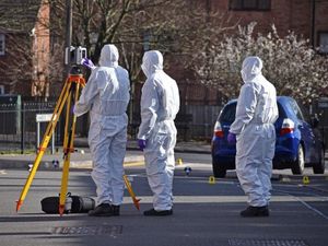 Supporting image for story