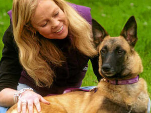 Supporting image for story: Miracle dog Freya's double lucky escape