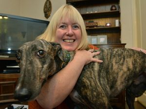 Supporting image for story: Shropshire dogs charity only has a few weeks' funding left