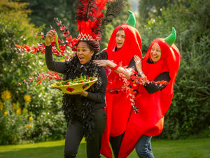 Supporting image for story: Feel the heat at Dorothy Clive Garden's Chilli Festival