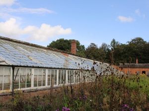 Supporting image for story: Historic glasshouses at National Trust hall currently deemed 'unsafe' set to be replaced
