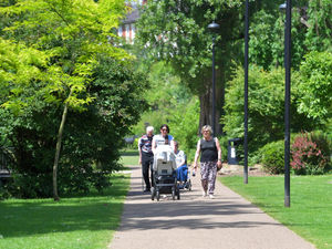 Supporting image for story: Council scheme aims to bring in new group of tree wardens