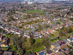 Supporting image for story: Two-fifths of British garden space paved over, reducing green benefits – report