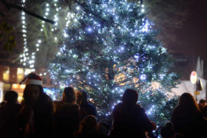 Christmas lights, at Upper Green, Tettenhall.