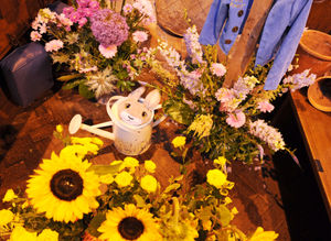 The Peter Rabbit display, by Jane Mottram