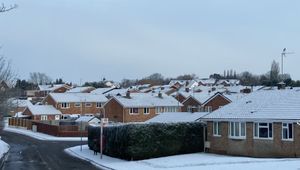 LDR Rachel Alexander
Permission for use for LDR partners 