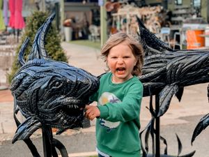 Supporting image for story: Sharks bask in the limelight at Ironwork Centre