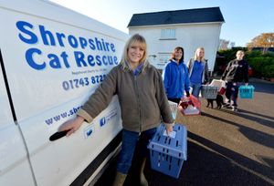 Marion Micklewright with Shropshire Cat Rescue helpers: Lesley Ashton, Karen Ashton and Rachael Ashton on their way to the vets