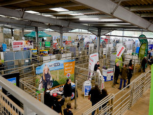 Supporting image for story: Forage analysis flags nutritional shortfalls at Wynnstay event