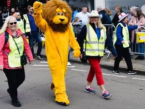 Supporting image for story: Lichfield Lions don't bite!