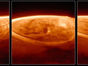 The auroras on Jupiter