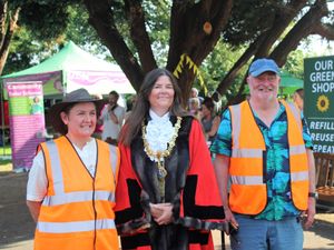 Supporting image for story: Second green festival hailed a success 