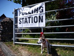 A dog outside a polling station
