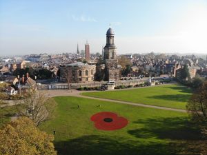 Supporting image for story: Poppy creates a bird's eye phew!