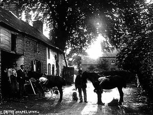 Supporting image for story: Pictures from the past - October 30