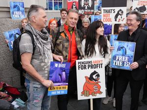 Supporting image for story: Protesters call for release of penguins ‘trapped in basement’ of London aquarium
