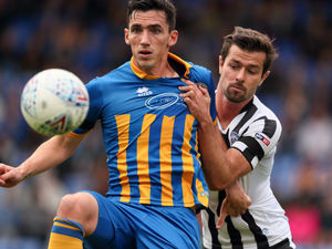 Supporting image for story: Shrewsbury Town 3 Rochdale 2 - Report and pictures