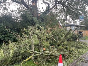 Supporting image for story: Many homes still without power after Storm Amy