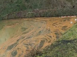Supporting image for story: Investigation into mystery brown sludge in Bilston canal 