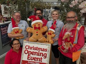 Supporting image for story: The countdown begins: Light up your Christmas with Bridgnorth Garden Centre