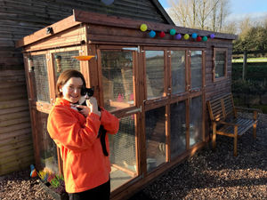 Shropshire Street Cats, based near Whitchurch, has opened a cat cafe to boost donations.