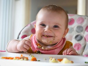Supporting image for story: Baby-led weaning ‘provides ample nutrients to support growth and development’