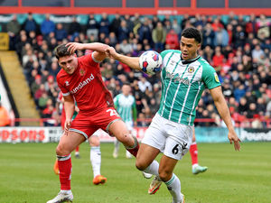 Supporting image for story: Walsall's Matty Stevens wants to prove his worth