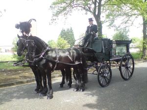 Help and support during difficult times