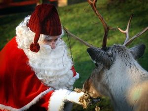Supporting image for story: Peter Rhodes on reindeer, tomatoes and the curious case of an MP with noodles on his ears