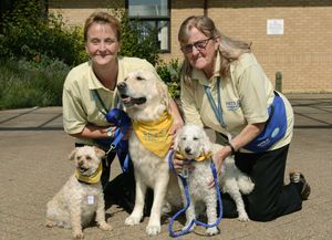 Volunteers Anne-Marie and Jan Jones from Pets as Therapy with Lewis, Sasha and Ziggy