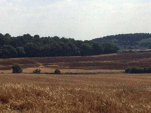 Supporting image for story: Arsonists start huge straw field fire near Cannock