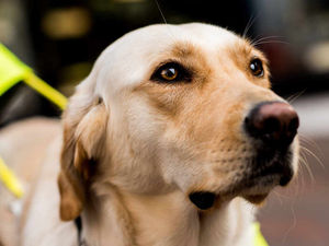 Supporting image for story: Peter Rhodes: Challenging a taboo