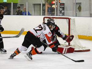 Supporting image for story: Telford Tigers want a magnificent seven