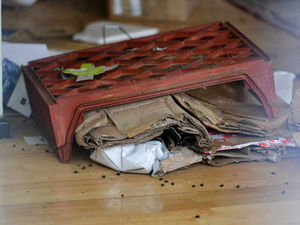 Supporting image for story: 'Dragging the whole town down': Flies infest disused Willenhall hairdressers