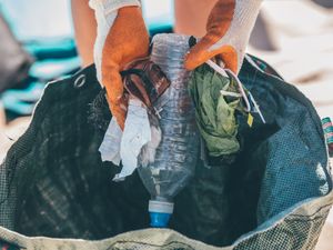 Supporting image for story: Plastic bag litter falls by 80% on beaches over a decade, seaside clean-ups show